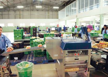 Hiệu quả từ công tác hỗ trợ khuyến công có thu hồi kinh phí