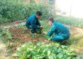 Học tập và làm theo Bác ở Ban CHQS huyện Đạ Huoai