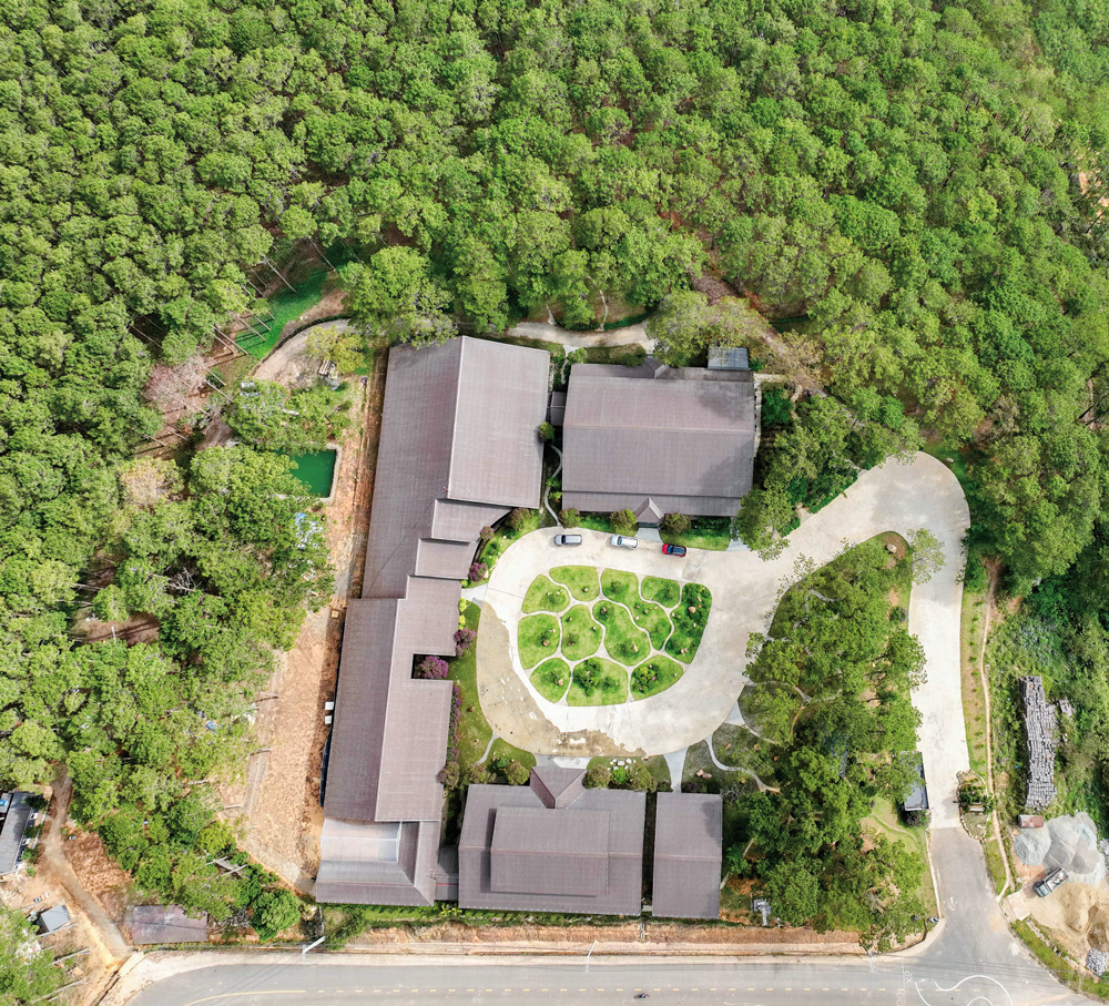 Hương trà giữa ngàn thông
