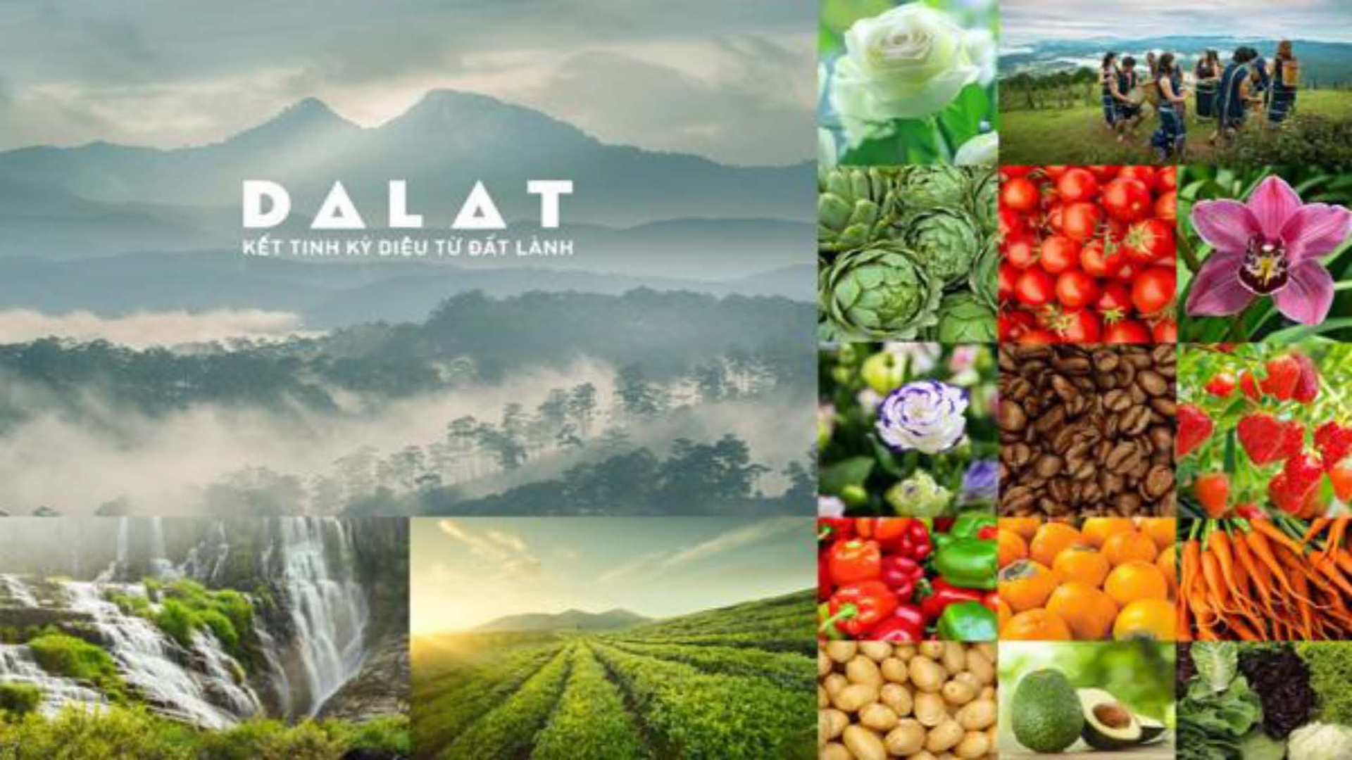 Một số gợi mở với ngành Nông nghiệp và Phát triển nông thôn tỉnh Lâm Đồng