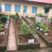 Vườn Thuốc nam trạm Y tế Hiệp An