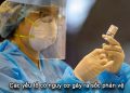 Tìm Hiểu Về Phản Ứng Phản Vệ Sau Tiêm Chủng