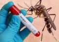 Xét nghiệm Dengue NS1Ag giúp điều trị sốt xuất huyết  như thế nào?