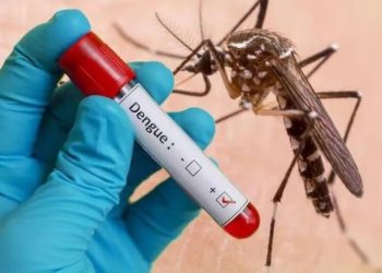 Xét nghiệm Dengue NS1Ag giúp điều trị sốt xuất huyết  như thế nào?