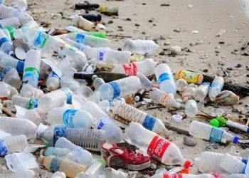 GIẢM THIỂU CHẤT THẢI NHỰA TRONG ĐỜI SỐNG HÀNG NGÀY