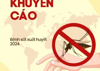 Khuyến cáo nhanh về bệnh sốt xuất huyết: