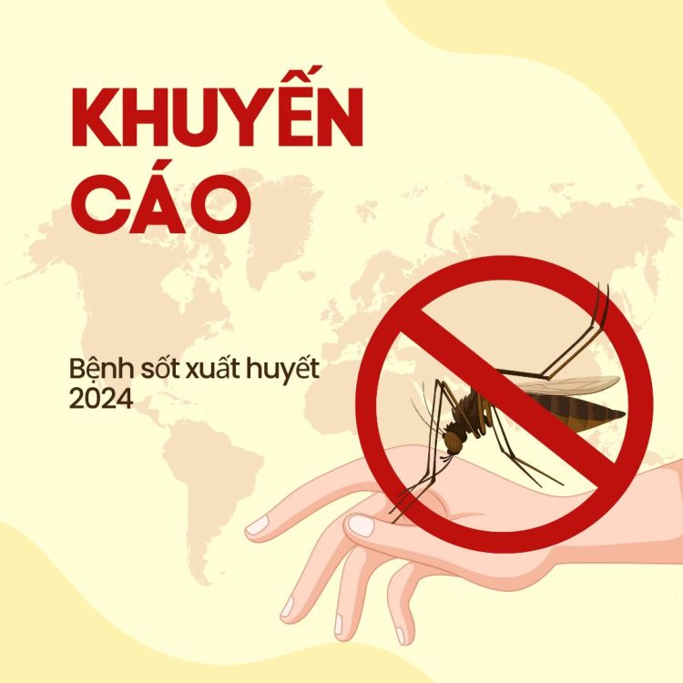 Khuyến cáo nhanh về bệnh sốt xuất huyết: