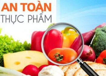 AN TOÀN VỆ SINH THỰC PHẨM NGÀY TẾT NGUYÊN ĐÁN
