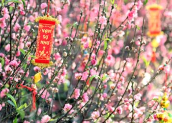 Ban Lãnh Đạo Trung tâm Y tế khu vực Đức Trọng đi thăm khám và chúc tết bệnh nhân đầu năm mới